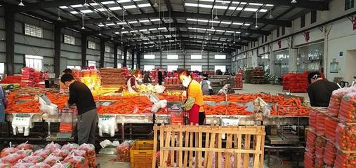賓陽縣多措并舉保障疫情防控期間蔬菜穩產保供與日用百貨供應