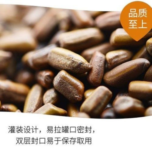 養生花茶新選擇 品味決明子茶與草本伴侶的和諧之美