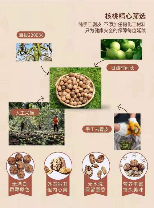 限時瘋搶！網紅琥珀核桃僅售19.9元，酥脆香甜引爆味蕾